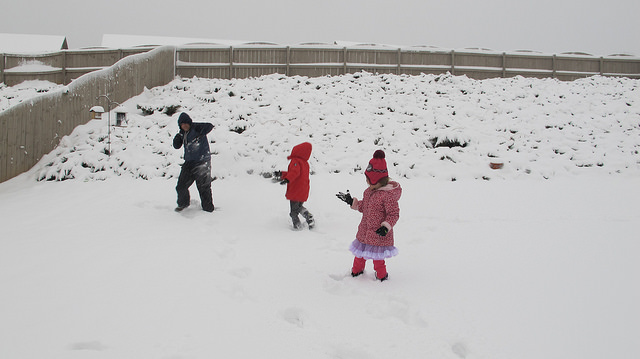 31320575824_23f3b4640a_z