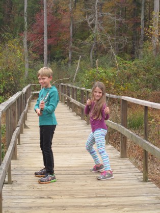 26422120959_8b9f8e2a39_o