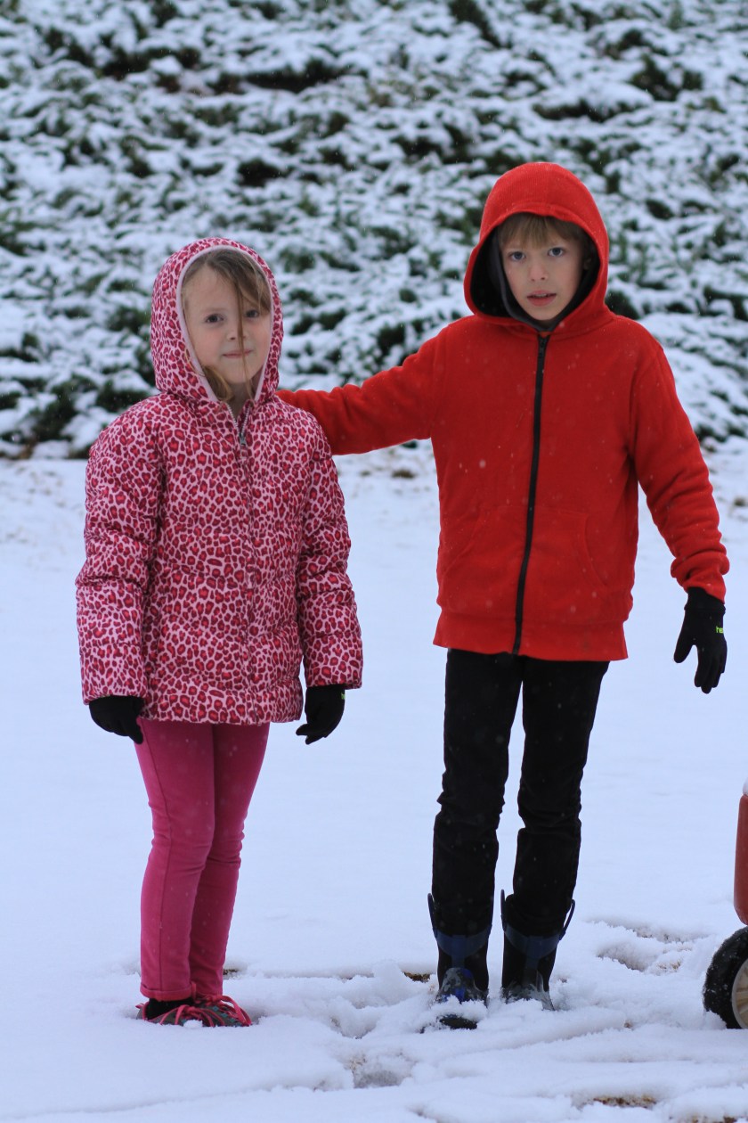 38380170024_6e0c131f07_o